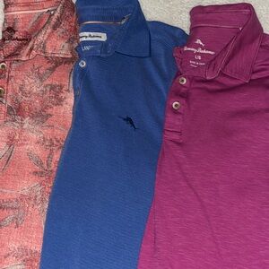 Set of 3 Tommy Bahama Polos